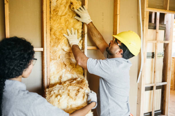 Best Energy-efficient Insulation  in Moline, IL