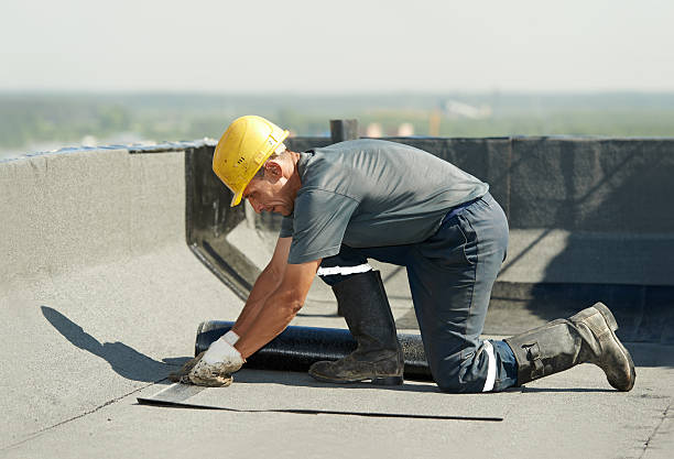 Best Local Insulation Services  in Moline, IL