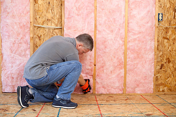 Best Spray Foam Insulation  in Moline, IL